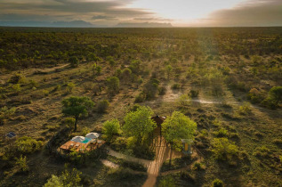 Afrique du Sud - Klaserie Private Nature Reserve - Africa On Foot - Treehouse
