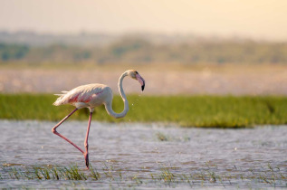 Afrique du Sud - Sainte Lucia ©Shutterstock, Jennifer Sophie