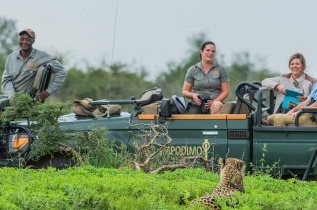 Afrique du Sud - Madikwe Game Reserve - Impodimo Game Lodge