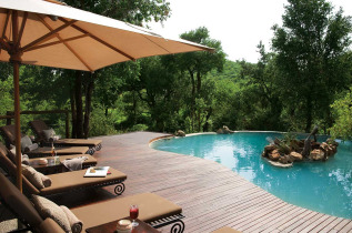 Afrique du Sud - Madikwe Game Reserve - Impodimo Game Lodge