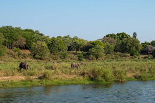 Afrique du Sud - Parc national Kruger - Nelspruit - Elephant Walk tented camp