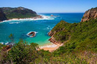 Afrique du Sud - Knysna - Réserve de Featherbed ©Istock, Annabreit