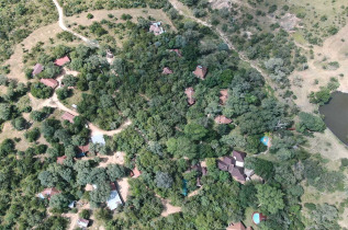 Afrique du Sud - Sabi Sands Game Reserve - Idube Game Reserve