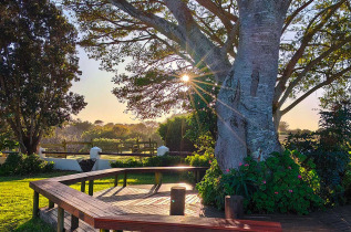 Afrique du Sud - St Francis Bay - Oyster Bay Lodge