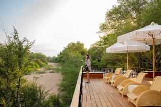 Afrique du Sud - Thornybush Nature Reserve - Thornybush Game Lodge