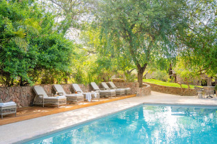 Afrique du Sud - Thornybush Nature Reserve - Thornybush Game Lodge