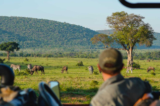 Afrique du Sud - Welgevonden Game Reserve - Laluka Safari Lodge