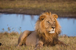 Botswana - Makgadikgadi Pans National Park - Boteti River