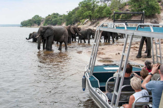 Botswana - Rivière Chobe - Croisière sur le Chobe princess