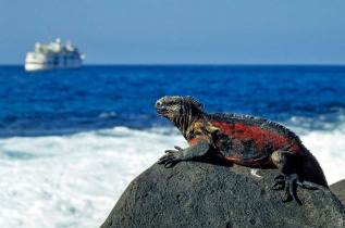 Equateur - Galapagos - Itinéraire de San Cristobal à Santa Cruz © Shutterstock, Frank Wasserfuehrer