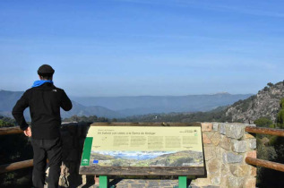 Sur les traces du Lynx en Andalousie