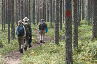 excursion à la recherche des rennes avec Taïga Spirit