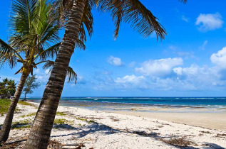 Kenya - Mombasa - Diani Beach ©Shutterstock, eduard kyslynskyy