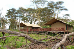 Kenya - Naivasha - Kiboko Tented Camp