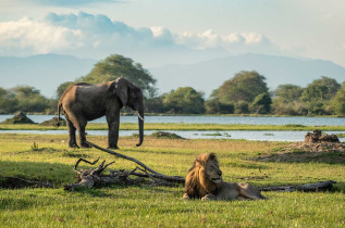 Malawi - Parc national de Liwonde - Mvuu Lodge