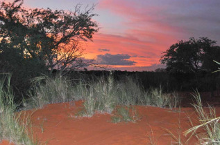 Namibie - Kalahari - Bagatelle Dune Chalet