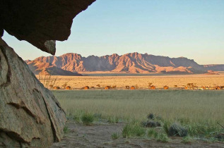 Namibie - Namib - Desert Camp