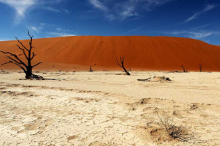 Namibie - Parc national Namib-Naukluft - Desert du Namib - Dunes de Sossusvlei ©Shutterstock, Betsy Labuschagne