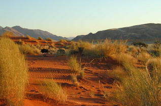 Namibie - Namibrand - Tok Tokkie Trails