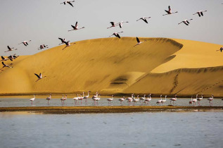 Namibie - Swakopmund ©Shutterstock, Carlos A Antunes