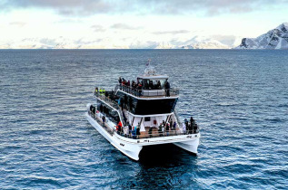 Norvège - Croisière baleines et orques © Brim Explorer - Silent Whale Watching