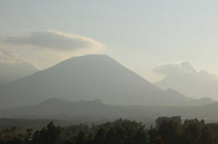 Rwanda - Gorilles du parc des Volcans