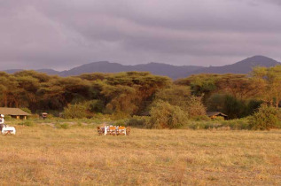 Tanzanie - Manyara - Lemala Manyara Camp