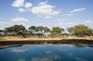 Tanzanie - Tarangire - Sanctuary Swala