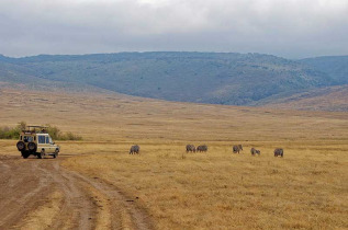 Tanzanie - Cratère du Ngorongoro