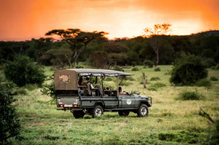 Tanzanie - Cratère du Ngorongoro