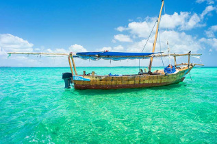 Tanzanie - Zanzibar - Excursion Snorkeling à la réserve marine de Mnemba © Shutterstock, Sergej Onyshko