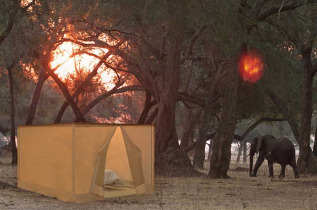 Zambie - Lower Zambezi - Tusk and Mane fly camp