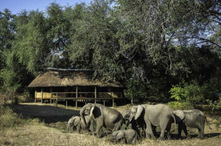 Zambie - South Luangwa - Bilimungwe Bush Camp