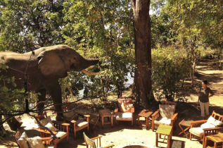 Zimbabwe - Mana Pools - Vundu Camp