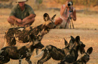 Zimbabwe - Mana Pools - Vundu Camp