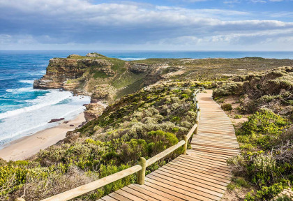 Afrique du Sud - Cape Town ©Shutterstock, Efimova Anna