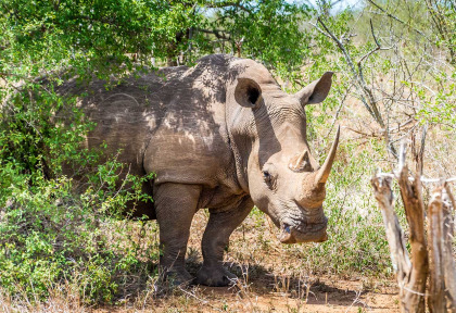 Eswatini - Swaziland - ©Shutterstock, Peter John Watson