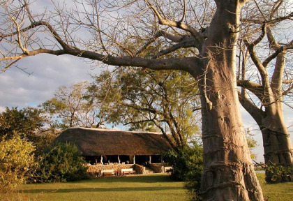 Malawi - Liwonde National Park - Mvuu Camp