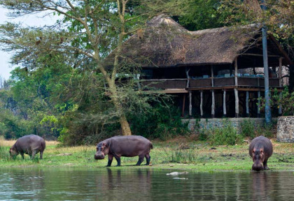 Malawi - Liwonde National Park - Mvuu Lodge