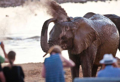 Namibie - Etosha - Okaukuejo Camp