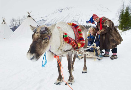 Norvège - Excursion Sami et Rennes © Bard Loken - www.nordnorge.com