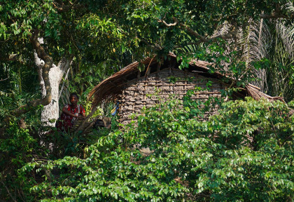 Congo - Croisière Safari à la rencontre des Gorilles - Expéditions Ducret