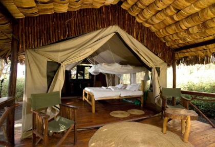 Tanzanie - Manyara - Migunga Forest Camp