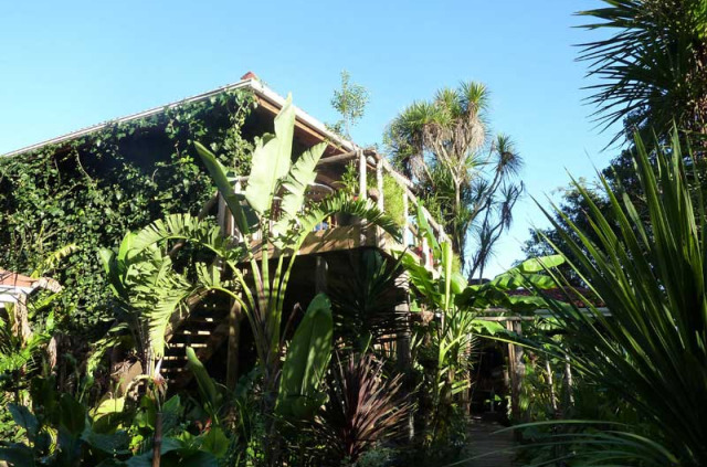 Afrique du Sud - Knysna - Bamboo Guesthouse