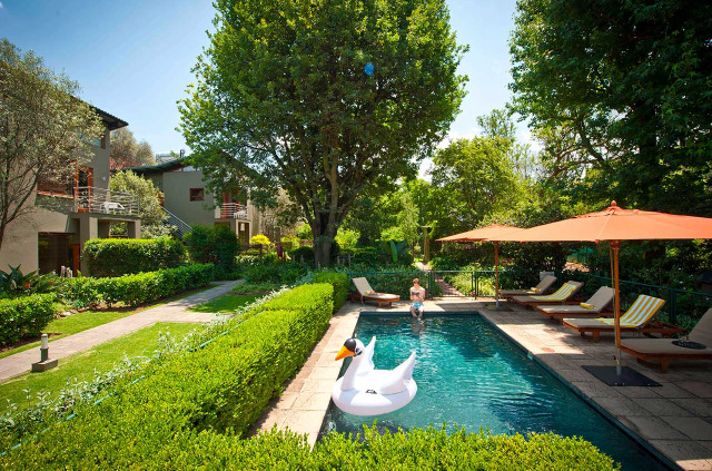 Afrique du Sud - Johannesburg - Tha Peech Boutique Hôtel - Piscine