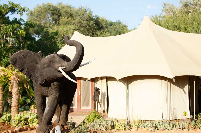 Afrique du Sud - Karongwe Private Game Reserve - Chisomo Safari Camp