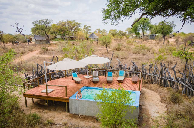 Afrique du Sud - Klaserie Private Nature Reserve - Africa On Foot