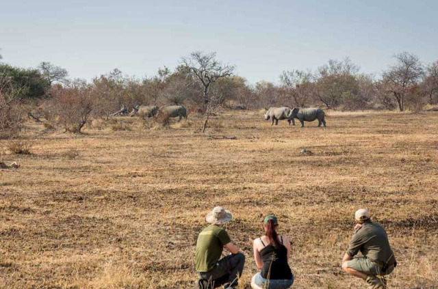 Afrique du Sud - Kruger walking safari