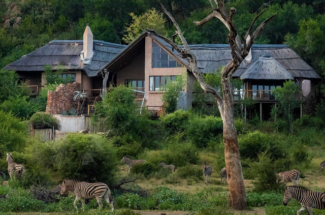 Afrique du Sud - Madikwe Game Reserve - Impodimo Game Lodge