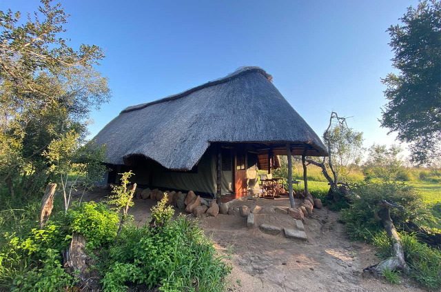 Afrique du Sud - Manyeleti Game Reserve - Pungwe Safari Camp